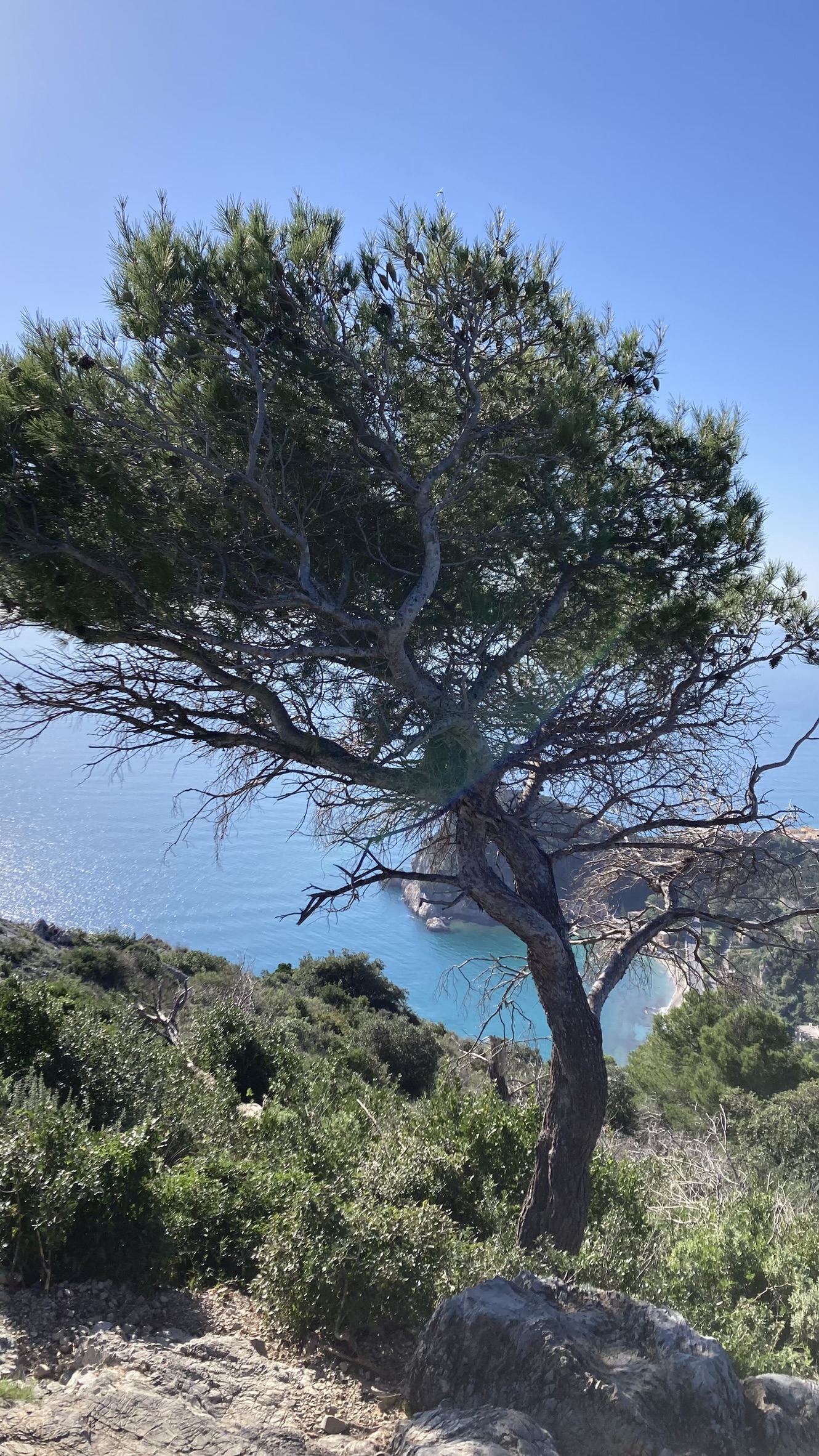 Omgeving vakantiehuis tips & inspiratie. Pijnbomen en uitzicht op de blauwe zee aan de kust bij Noli.